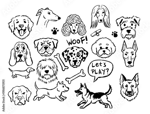 Dog heads set, hand drawn black ink domestic animal face collection. Hand drawn pet portrait, line art puppy sticker, doodle sketch purebred dog heads. Animal character element, funny canine face