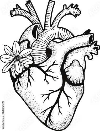 Anatomical heart with flower, black and white line symbolizing life and growth