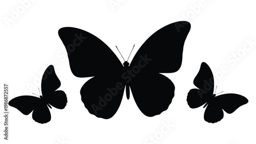 Three butterflies in flight a striking black silhouette