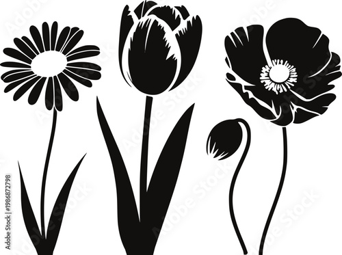 Black silhouette flowers: daisy, tulip, poppy, and bud white background, floral