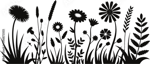 Black silhouette wildflowers and grasses border white background, nature floral