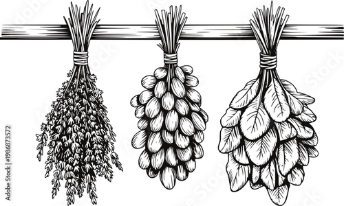 Bunches of herbs and plants hanging and drying a wooden beam