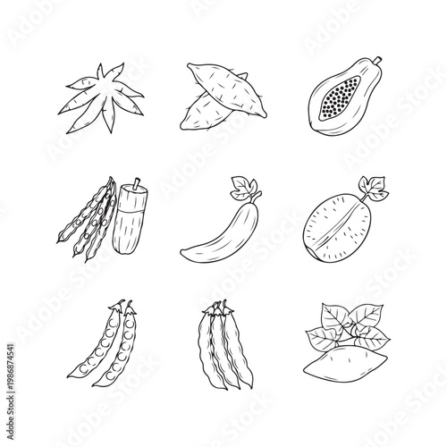 Hand drawn vector tropical vegetable collection featuring papaya, sweet potato, yardlong beans, and taro icons in minimalist line art style.