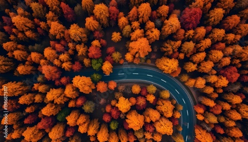 Autumn Winding Road From Above. Top view aerial of a winding road through autumn forest, orange and red foliage, seasonal travel landscape, soft sunlight 2