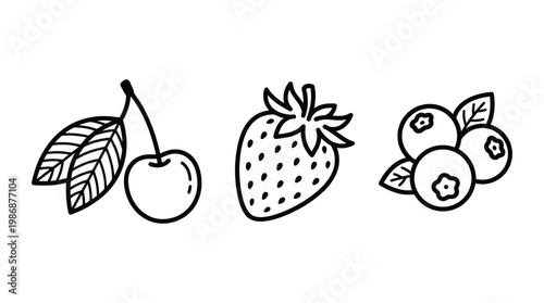 Fresh organic berry fruit line icons collection on transparent back.
