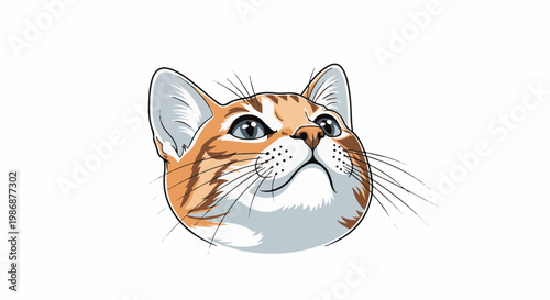 Orange tabby cat face looking upwards with blue eyes and whiskers