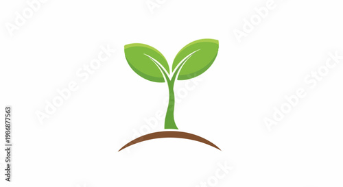 Minimalist green sprout with two leaves emerges from brown soil