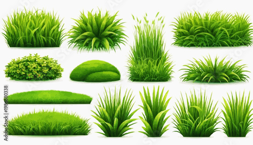 Lush green grass patches vector set, isolated on white background.
 