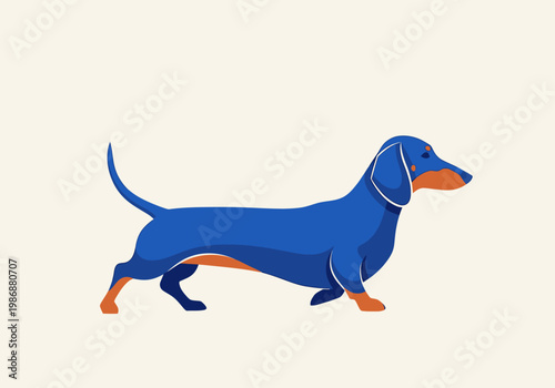 Modern Minimalist Blue and Tan Dachshund Vector Illustration - Stylized Sausage Dog Breed Graphic Isolated on Plain Background