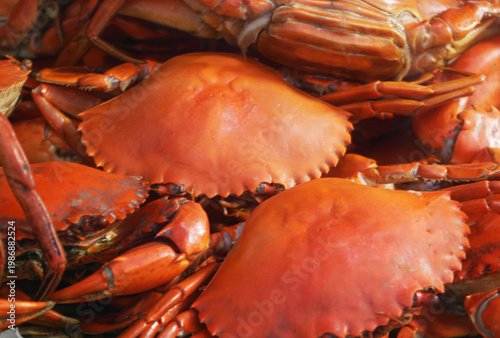 Many red cooked crabs as background