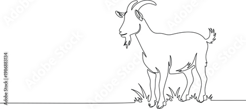 Continuous single line drawing of goat representing farm animal livestock concept minimalist vector illustration