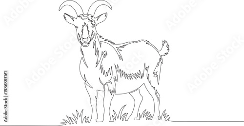 Continuous single line drawing of goat representing farm animal livestock concept minimalist vector illustration