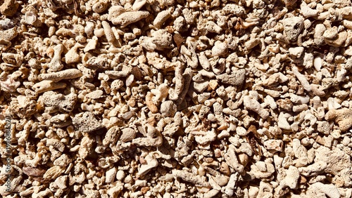 Close-up of small rocks and gravel forming a rough textured ground surface.