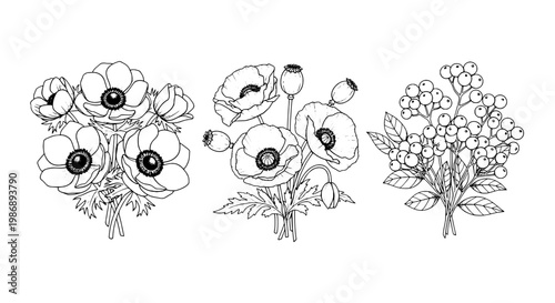 Bouquet floral line art set with daisy blossoms, wheat stalks, and berries arranged on three separate stems