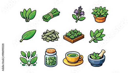 Herb vector icons of various green plants and leaves illustration