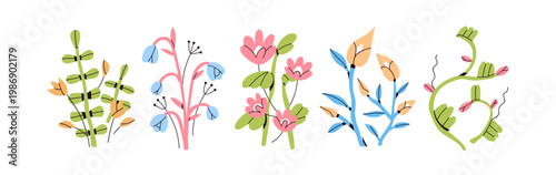 Abstract flower compositions set. Floral plant branches, delicate blooms and ...