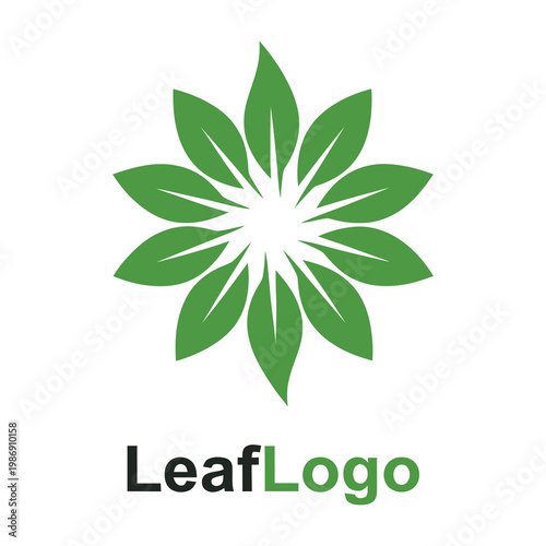 Green leaf logo design with text on white background icon