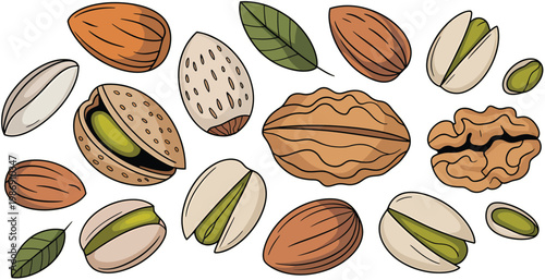 Collection of assorted nuts and leaves in hand-drawn illustration style
