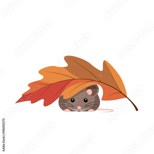 Cute hamster hiding under autumn leaf, isolated on white background