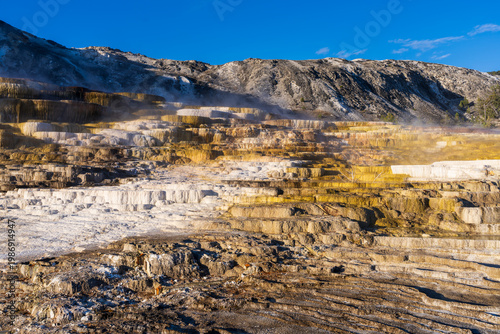 Obraz na płótnie Panoramic View of the Iconic Steaming Mineral Formations at Mammoth Hot Springs
