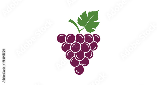 Bunch of purple grapes illustration.