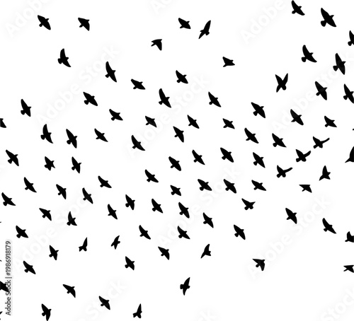 Black Bird Silhouettes Flying in Flocks Minimalist Vector Nature Background