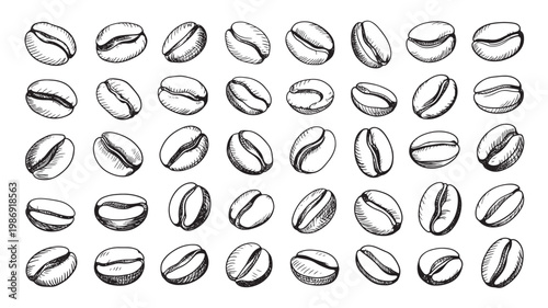 Detailed hand drawn sketch of roasted coffee beans in various angles isolated on white background