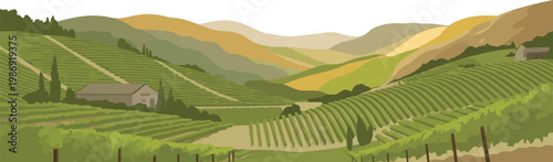 A serene landscape of rolling hills and vineyards under a bright sky