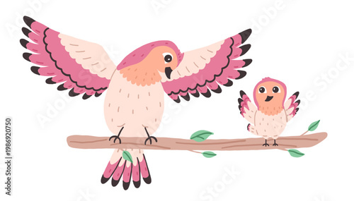Pink forest bird mother and baby sitting on branch. Illustration on transparent background