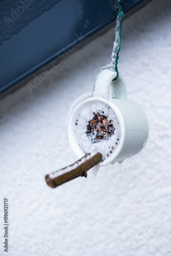 Photography Bird seeds molded into a cup with a little branch to feed birds in winter