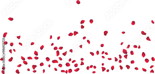 Ultra Dense Petal Rain for Professional Cinematic VFX and Luxury Backdrop