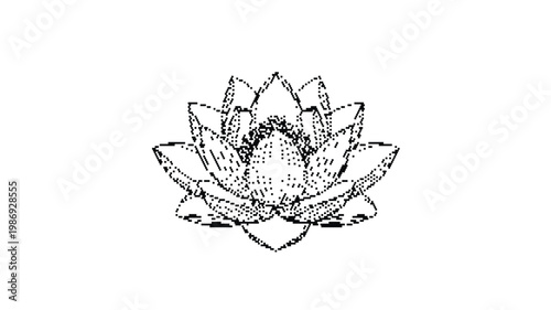Vintage lotus flower sketch, hand drawn botanical water lily illustration, black and white floral line art vector for wellness and spa branding