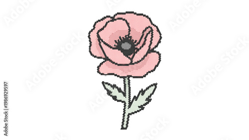Hand drawn pink poppy flower vector illustration, delicate floral botanical element with green leaves, romantic pastel bloom on white background