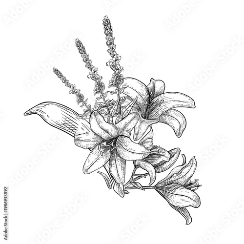 Lily flower and meadow herbs arrangement outline vector illustration. Botanical blossom drawing black white line art. Monochrome floral sketch for wedding invitation card. Vintage lily hand drawn.