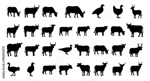 Farm animal icon set with silhouette livestock and poultry symbols in clean vector illustration style isolated on white