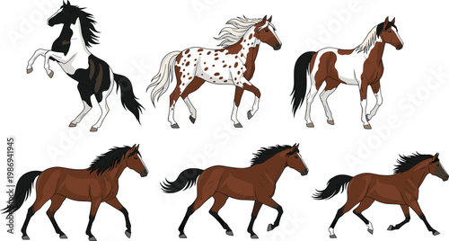 Set of 6 Beautifully Illustrated Horses in Various Poses and Breeds for Equestrian, Animal, and Wildlife-Themed Designs