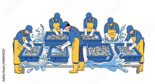 Meticulous factory workers carefully sort fresh silver fish into plastic crates on a clean white background in vibrant blue uniforms and yellow aprons.