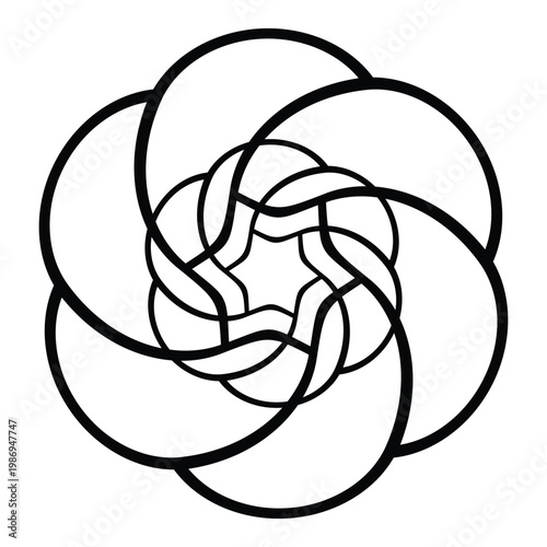 Intricate rope frame design black and white interwoven circular knot artwork for modern decor