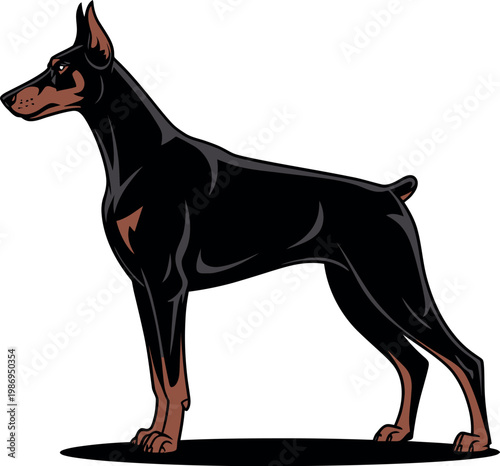 A cartoon illustration of a Doberman Pinscher standing on a white background