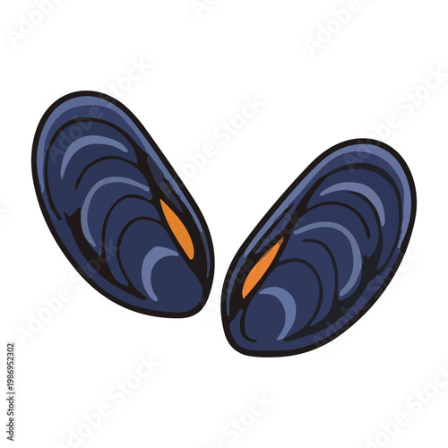Vector illustration of two blue mussels isolated on white