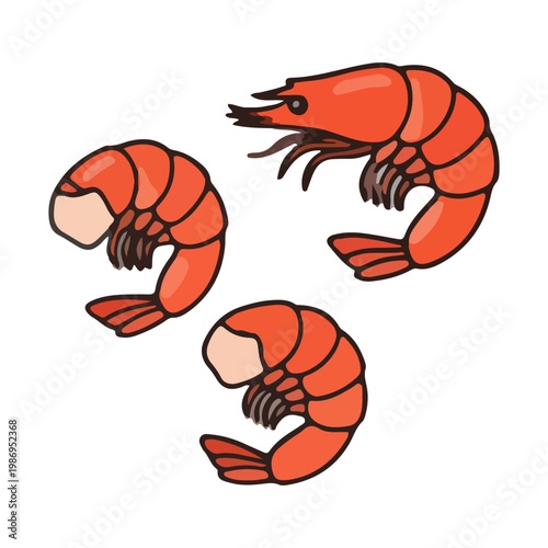 Cartoon Vector Illustration of Cooked Shrimps and Prawns