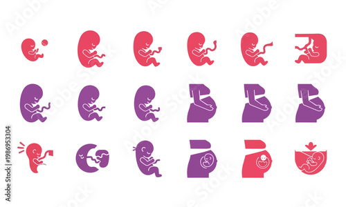 Pregnancy Stages Icons Set – Cute Colorful Flat Vector Illustrations