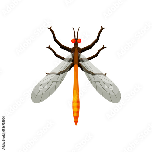 Mosquito Insect Top View