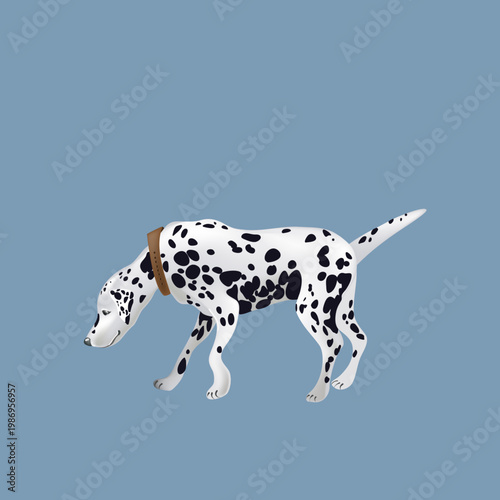 Isometric Dalmatian Dog Sniffing