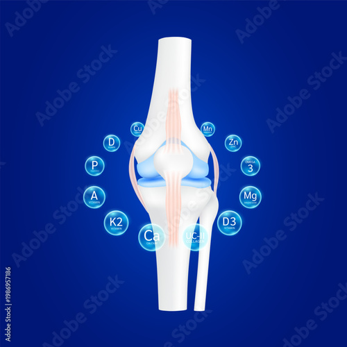 Knee joint cartilage surrounded by transparent bubbles Vitamin D minerals calcium omega 3 and collagen. Dietary supplement bone, Medical health care concept. 3D vector.