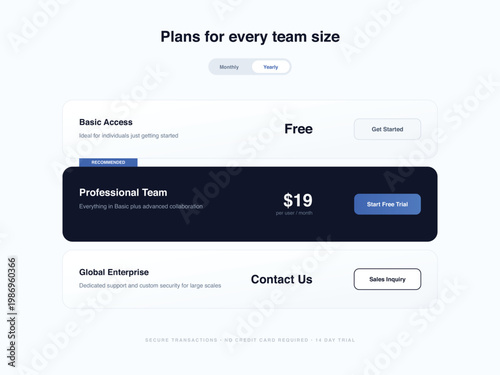 Pricing table, team plans, business pricing, price list, financial template, vector