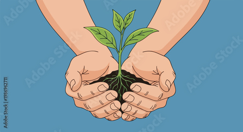 Pair of hands cupping a seedling with visible roots and soil