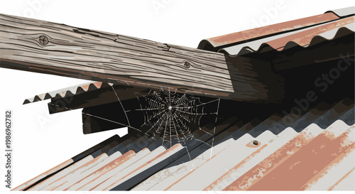 Rustic corrugated roof with a wooden beam and a cobweb