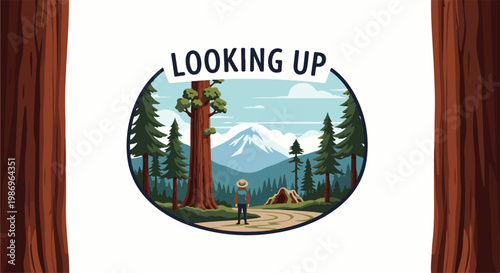 Person with backpack gazes at a majestic mountain from a forest trail