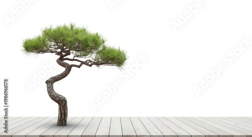 A small bonsai tree on a wooden deck against a white background
